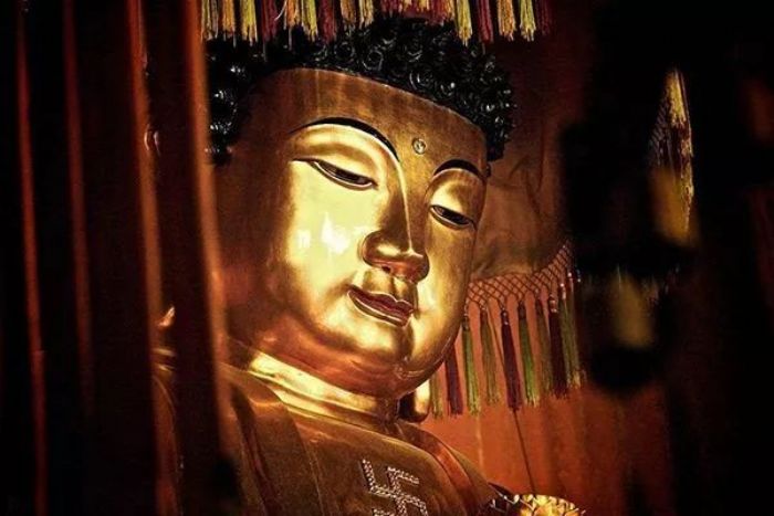 ����·�ϣ�����֪�������������~