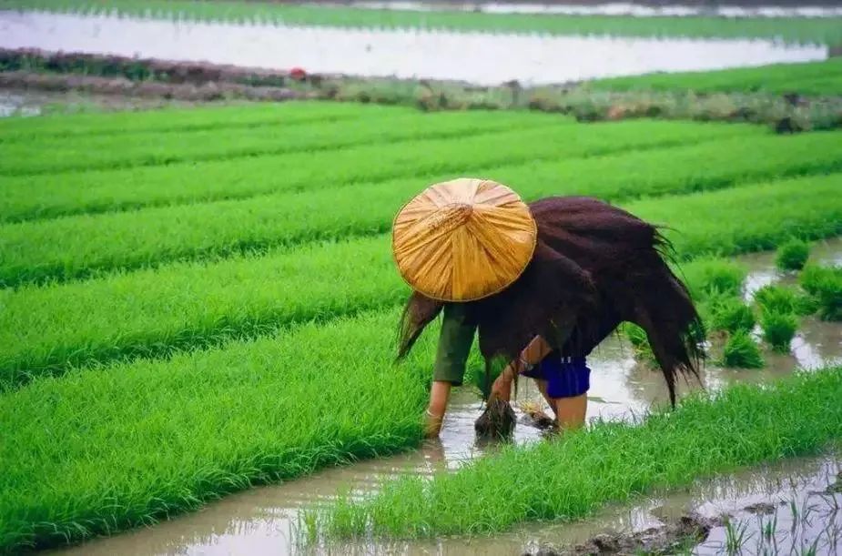 ��ƽ������������ǳ�˼����������