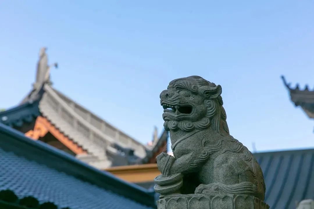 不是别人不好,是自己的无明业感在作怪 不是别人不好,是自己的无明业感在作怪