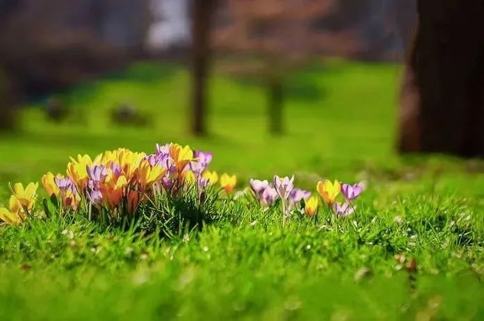 ˳Ե����ȥ����Ե������