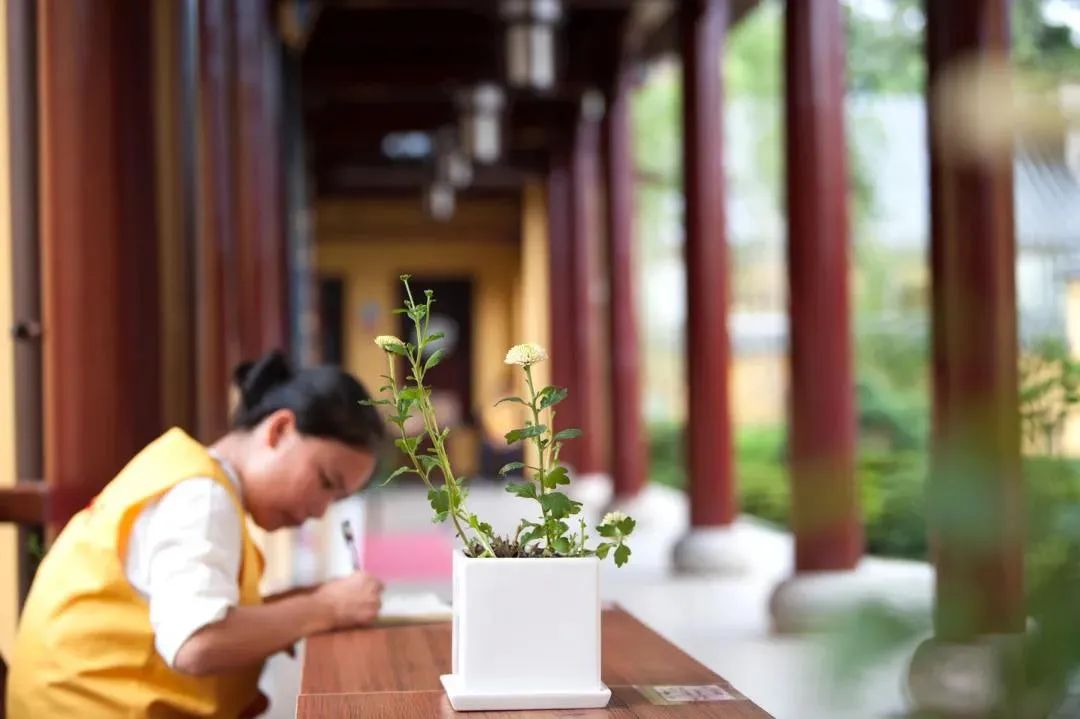 佛法在哪里?佛法在世间 佛法在哪里?佛法在世间