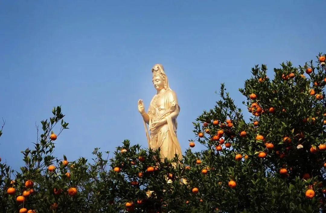 ӡ�ⷨʦ������Ů���ƣ��ǻ��»������������ﲻ��