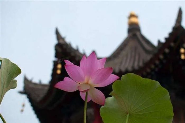 “我”是什么?其实只是一种感觉 “我”是什么?其实只是一种感觉