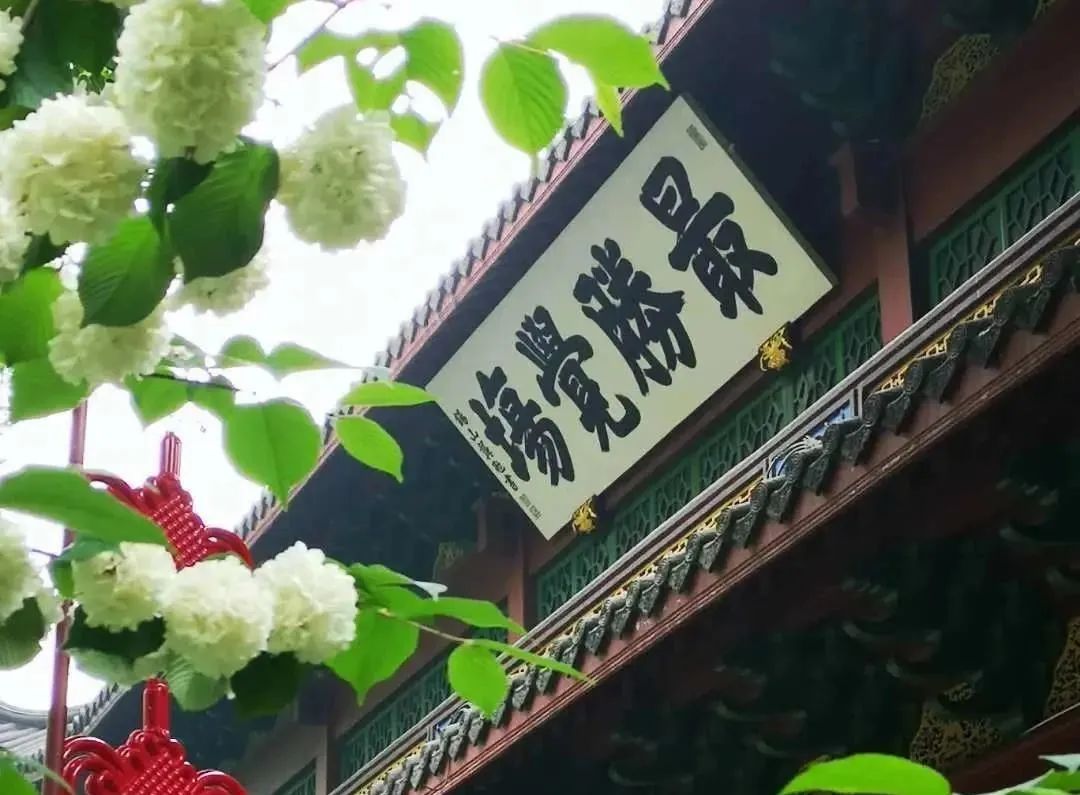 һ���ı����Լ������ģ�һ�оͶ��ı���