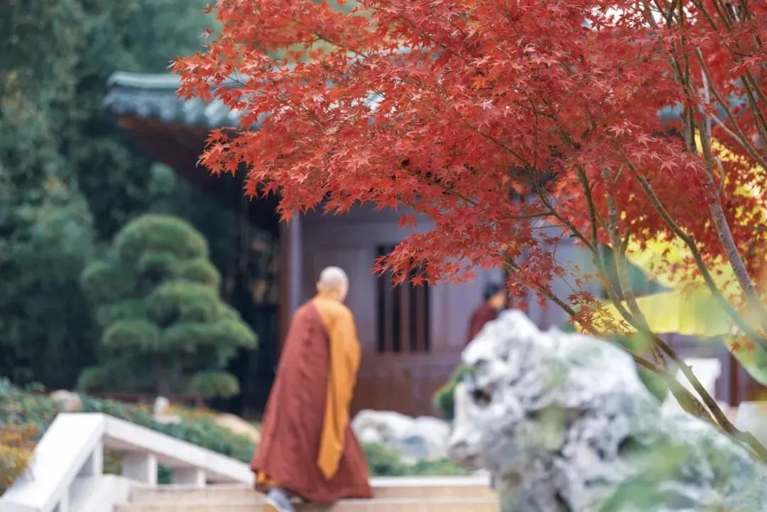 ���ڹ�������Ӻη���������η�ȥ��