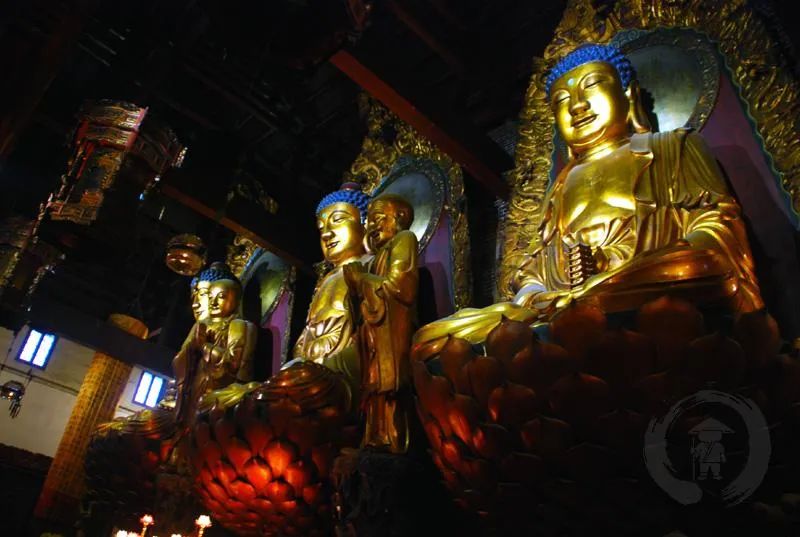 ִ�������������