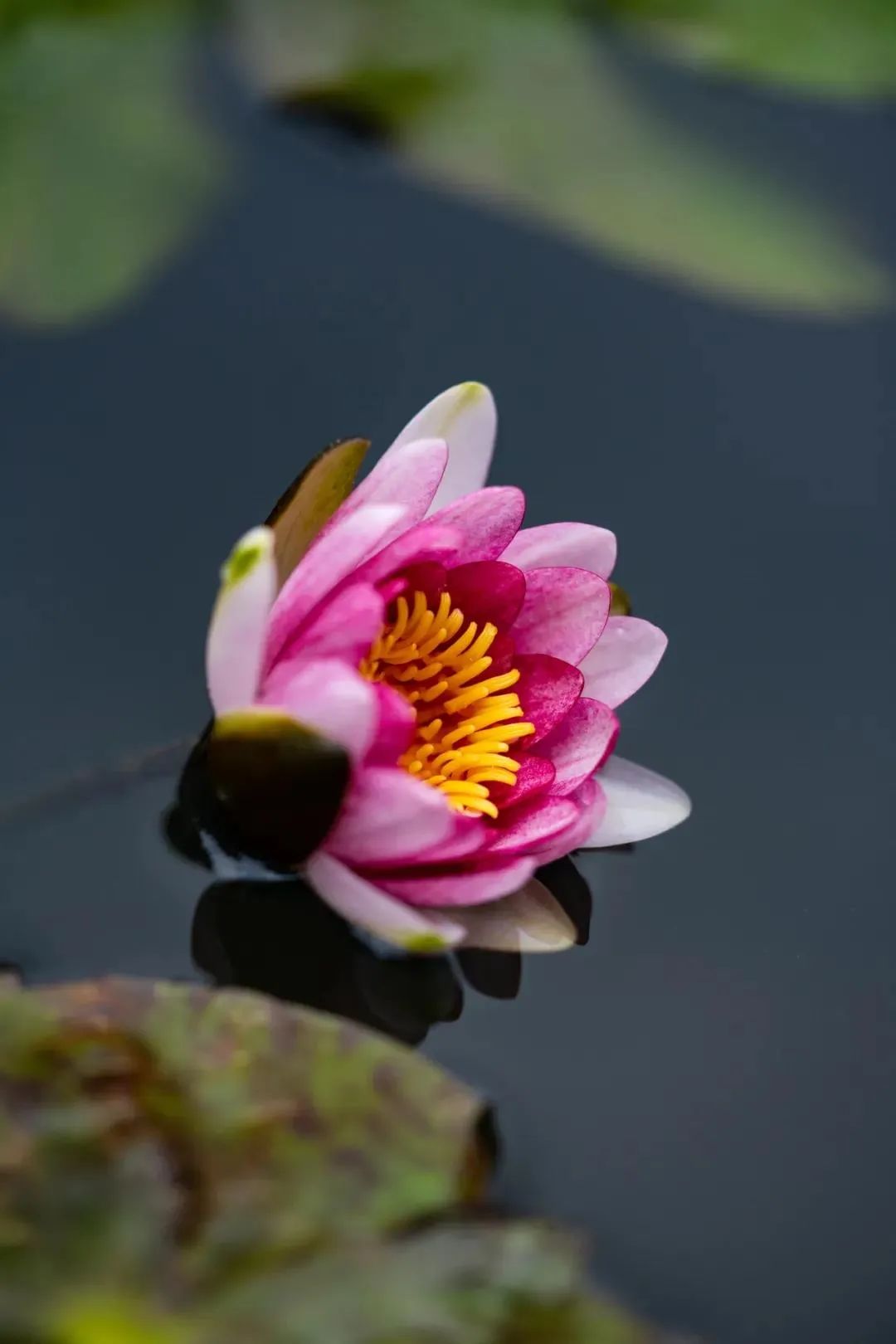 ӡ�ⷨʦ��������������������������գ���������