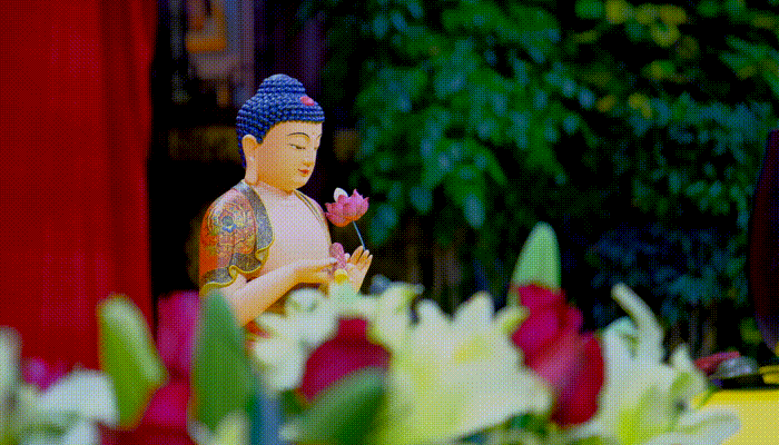 ӡ�ⷨʦ����Ը���Ϊ���У�����ׯ��Ϊ����