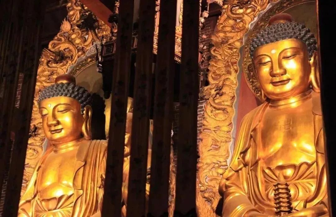 ����������ʮ֮�˾ţ�ʹ���ʱ�����ǵ��׸���ô���أ�