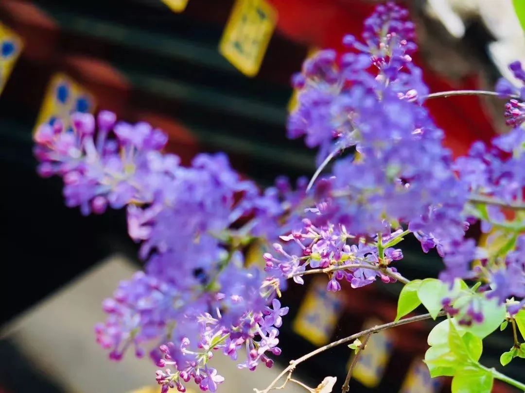 ����������ʮ֮�˾ţ�ʹ���ʱ�����ǵ��׸���ô���أ�