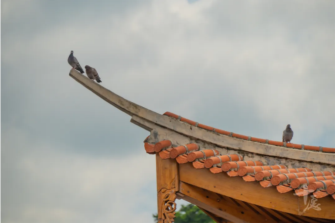 �˵�ʹ�࣬�����Լ�����������