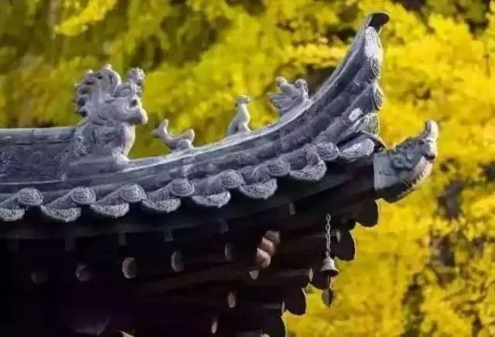 ���޵ĵ�һ������