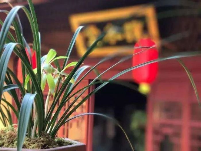 ���ڹ�����������������������