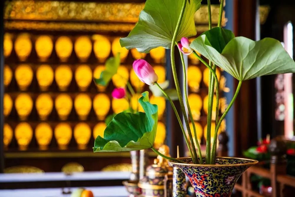 Զ�뽹�ǡ��������ڵ��ĸ�������