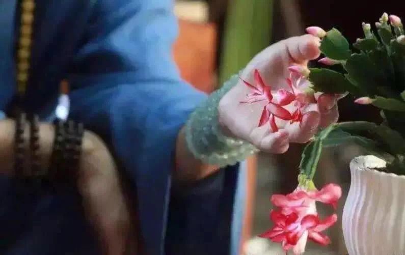 ���ͽ���Ի�ױ�𣿿�����پ���