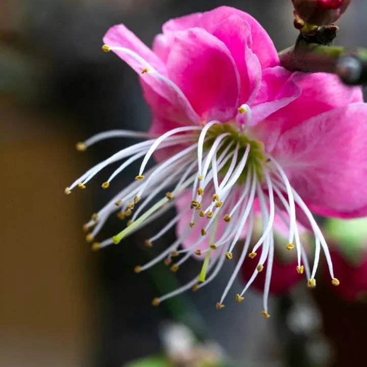 ��ʮ�ַ�ʽ�������ۻ���