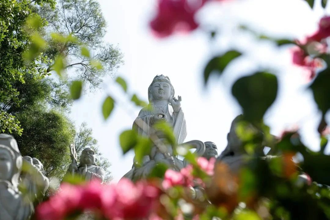 �Ĳ����⾳��ת����������Ӧ�����յķ���