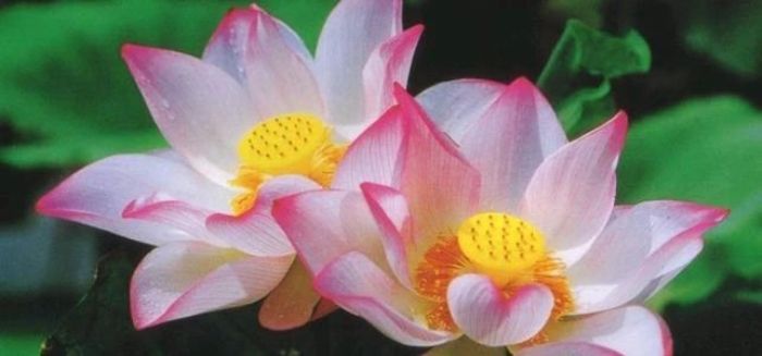 ��һ�����ɣ��������Һ�æ��