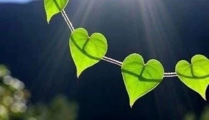 ӡ�ⷨʦ�������𣬾��������ȫ��