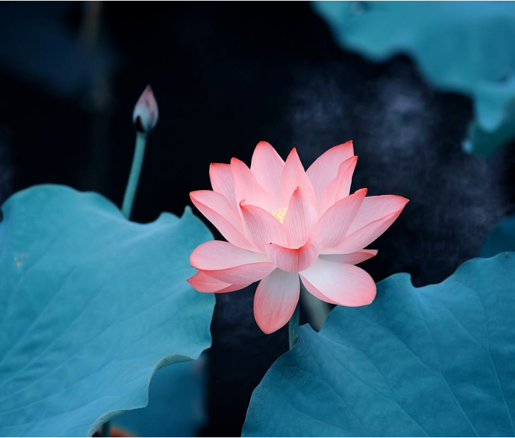 ʲô��һ�������õ��Ը�?ѧ�Կ�