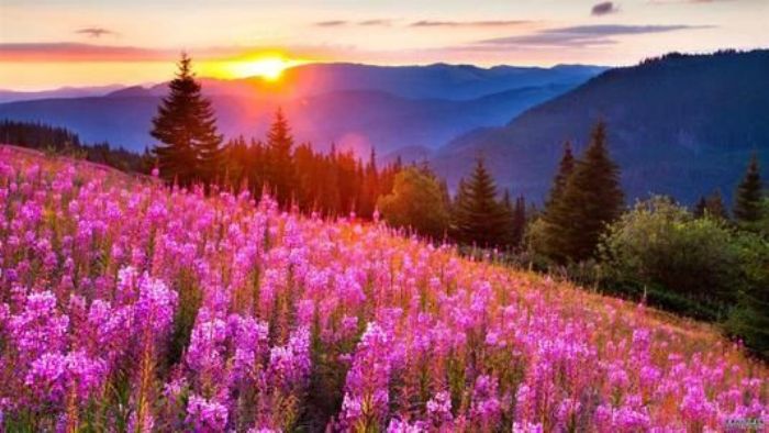 �������۵�ʱ�������Ǹ��²���