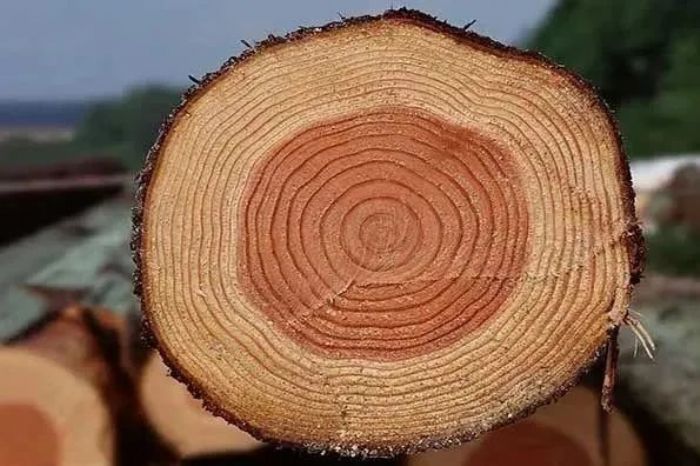 十个禅意故事,让你破迷开悟! 十个禅意故事,让你破迷开悟!