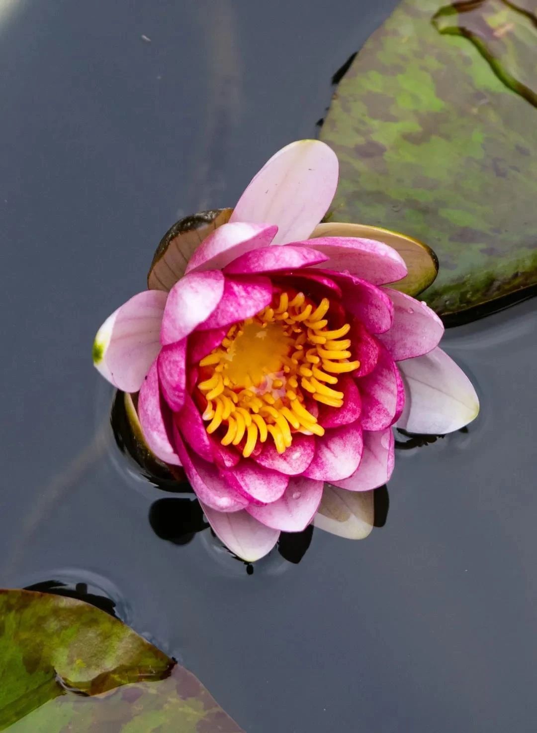 十个禅意故事,让你破迷开悟! 十个禅意故事,让你破迷开悟!