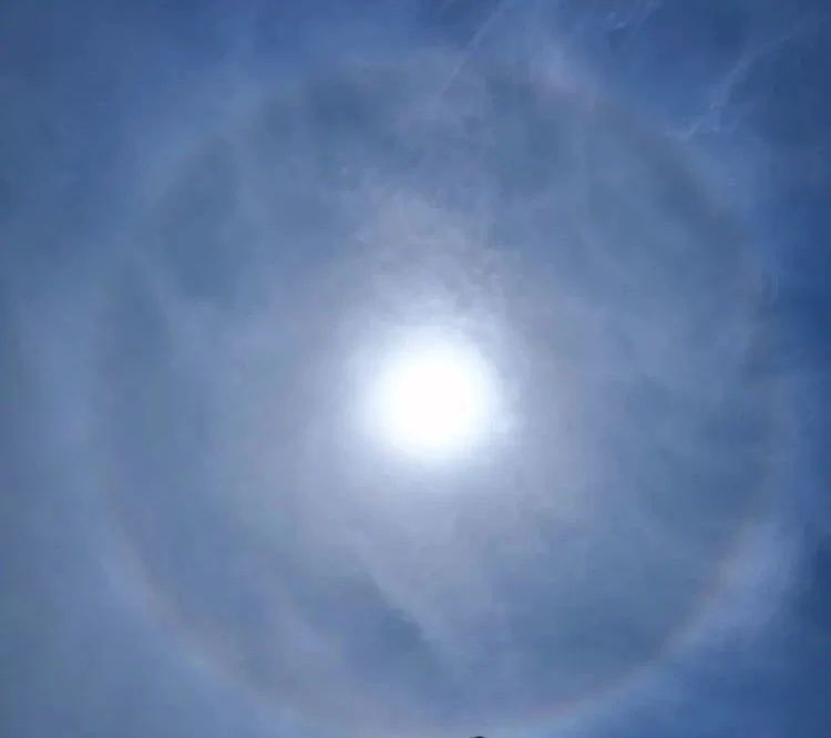 �����з��ԣ�Ϊ�β��ܳɷ��أ�