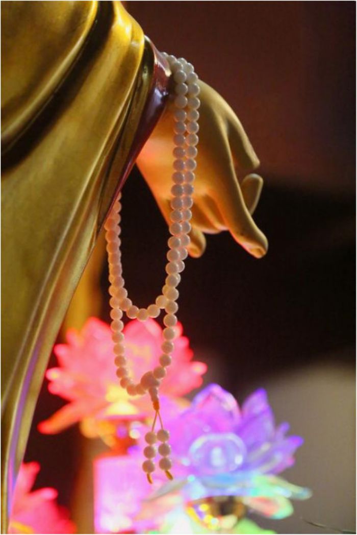 �ӳ�ѧ�������������ʵΪ�ȵ�֮��