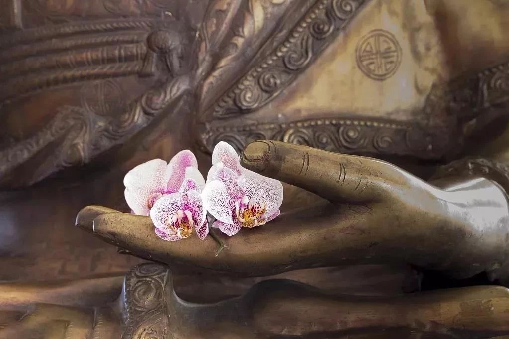 �����ı��ʾ�����ʶ������