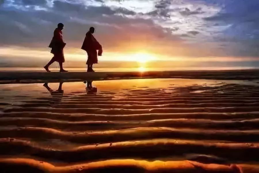 ���У�ֻ�趮��_�������š�