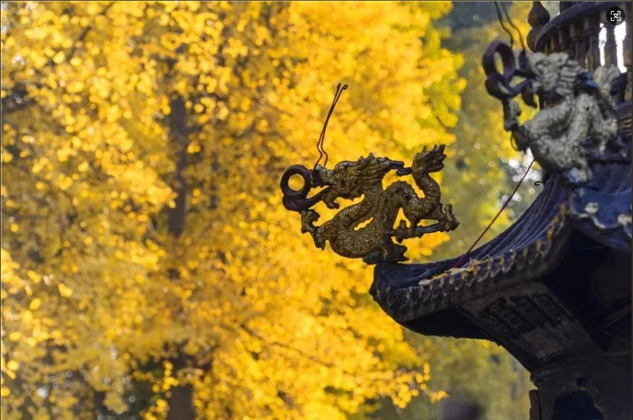 �ں쳾�����У����ƽ�������������