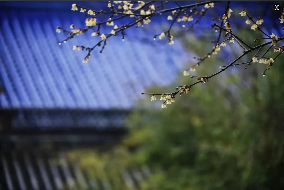 �ں쳾�����У����ƽ�������������