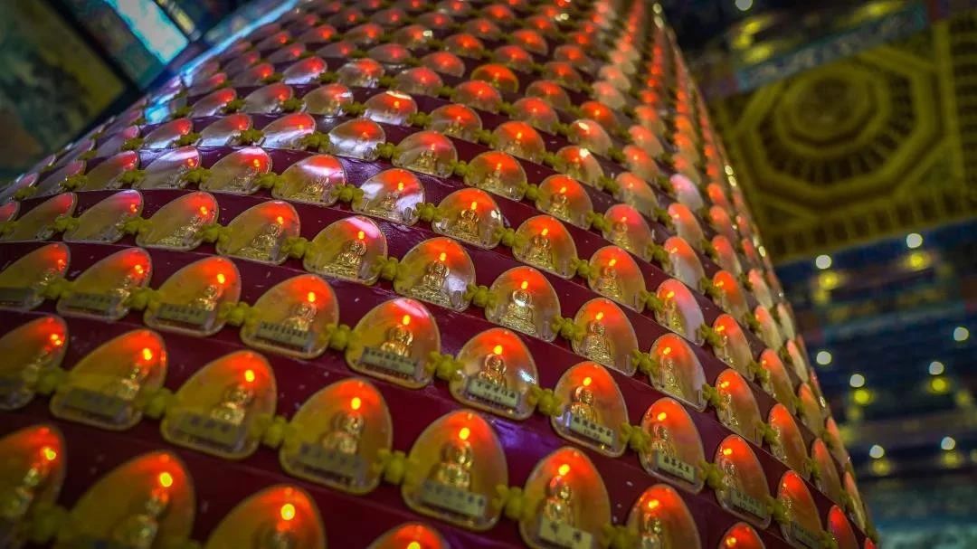 ѧ���벻ѧ�𣬵�����ʲô��ͬ��