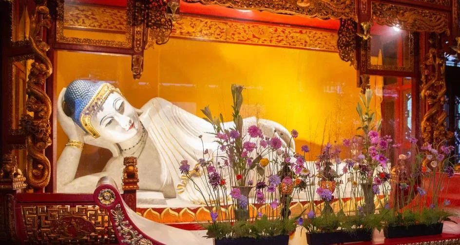 �����������ɷ����棬��Щ������������