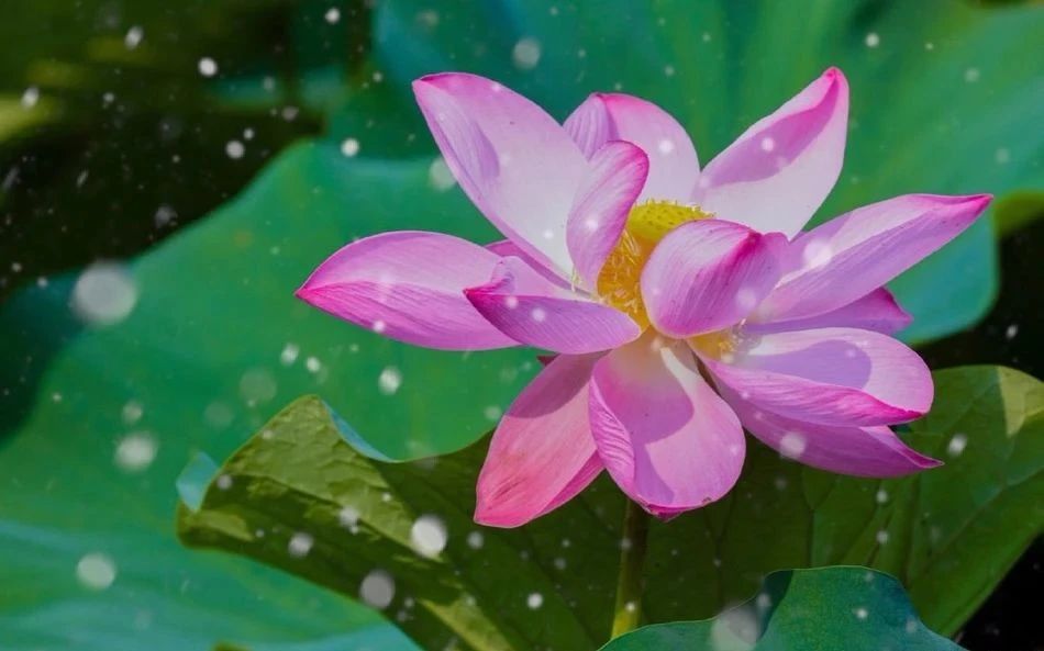 �����кܶ���֣�Ϊʲô��˵�����Կࣿ