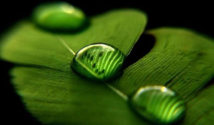 �����кܶ���֣�Ϊʲô��˵�����Կࣿ