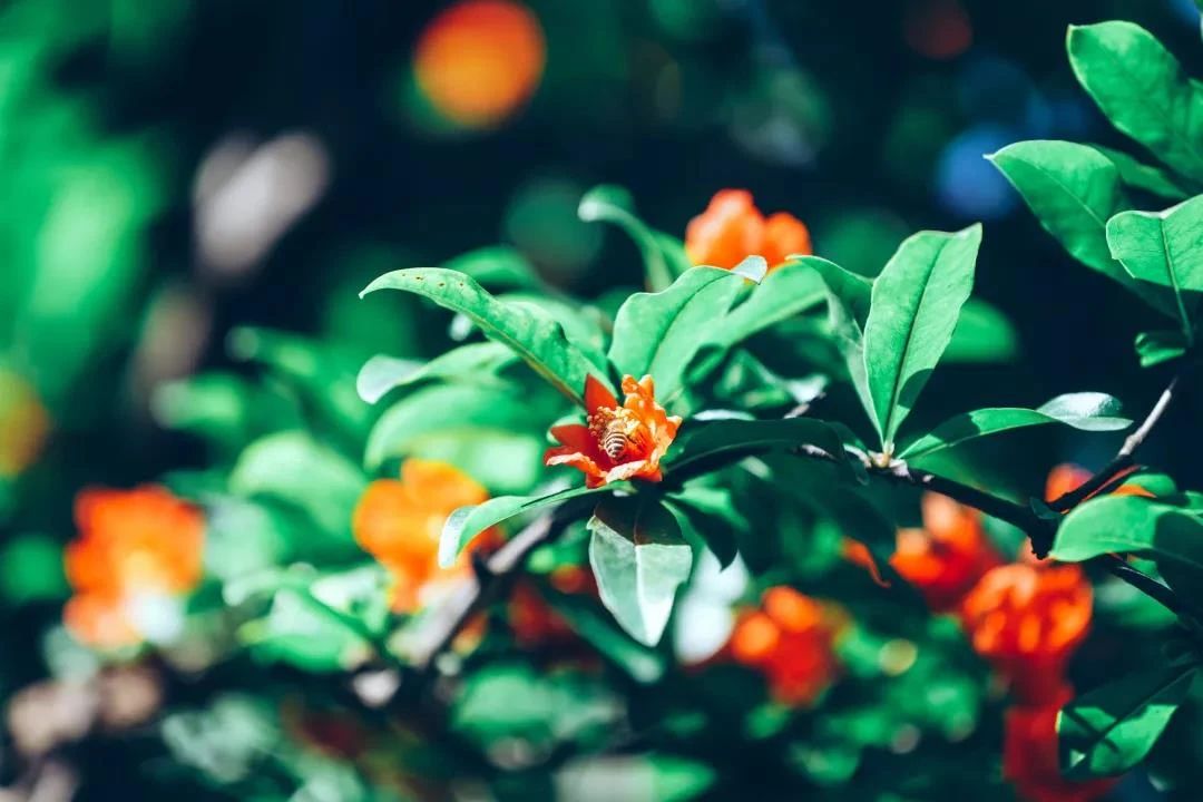 修行就是一个调心的过程 修行就是一个调心的过程