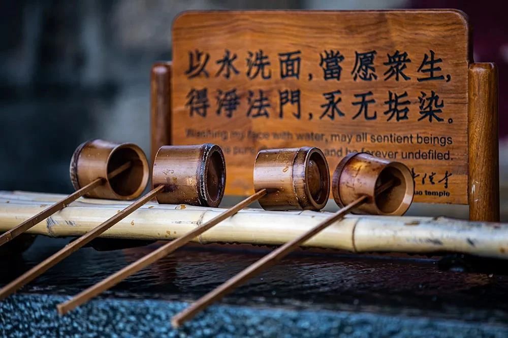 ���ѵ��ˣ���Զ���ڵ���