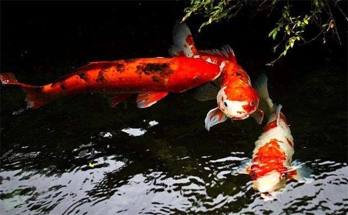 ���ѵ��ˣ���Զ���ڵ���