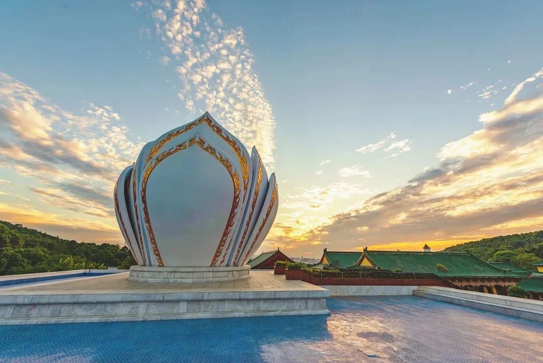 ӡ�ⷨʦ��ר��һ���пɣ�������ݷ�Ը�ȣ��������