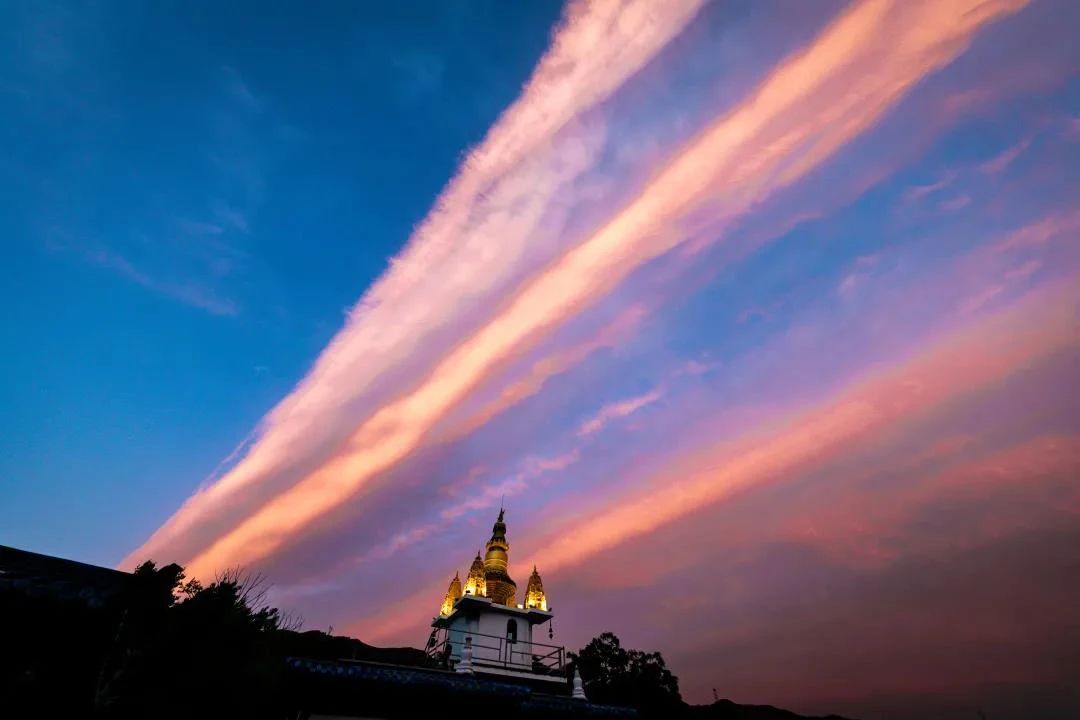 �������ϣ��������ϳ���