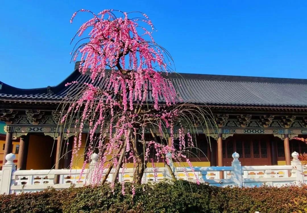 ӡ�ⷨʦ�����һ�£���Ҫ��������