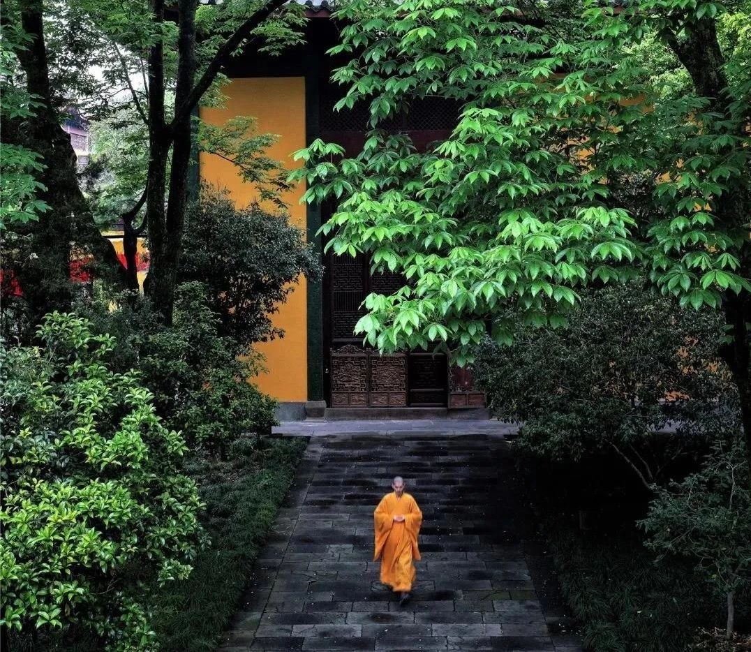 ����������������ת