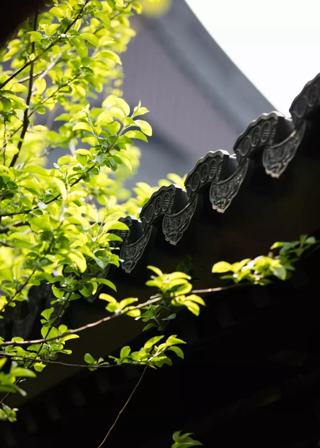 ������ǵ��������µ���ִ��~