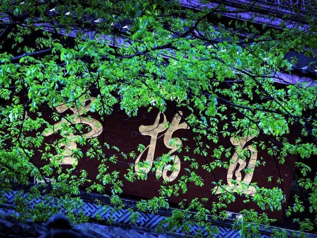 一切的力量都是从“定”中产生出来的 一切的力量都是从“定”中产生出来的