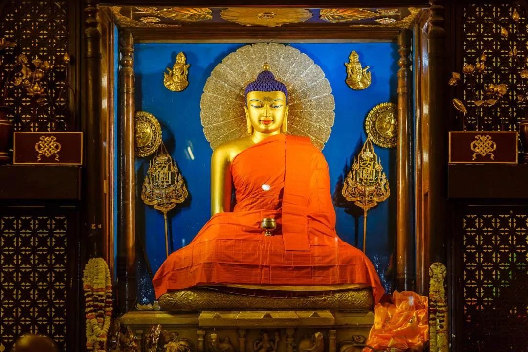 解脱路上,你,启程了吗? 解脱路上,你,启程了吗?