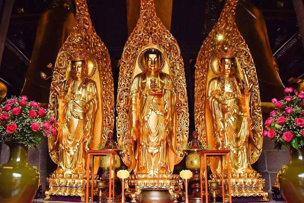 �������棬Ψ���������ߣ��ܵ���ȫ