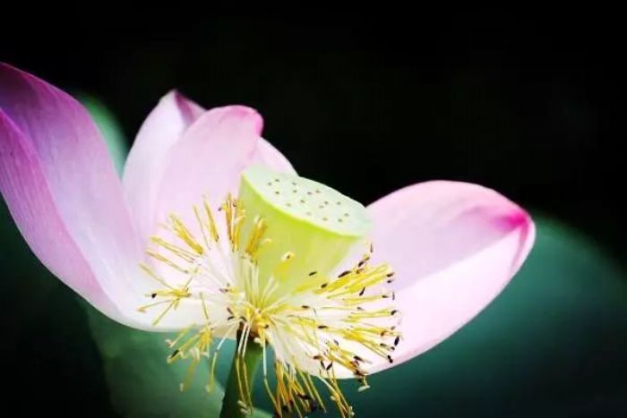 Խ������ĳ���ˣ���Խ��������ǿ��ʹ��