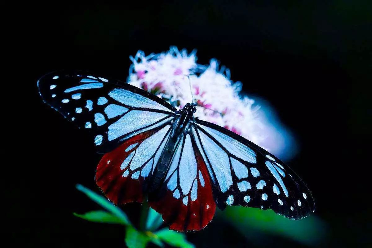 Խ������ĳ���ˣ���Խ��������ǿ��ʹ��